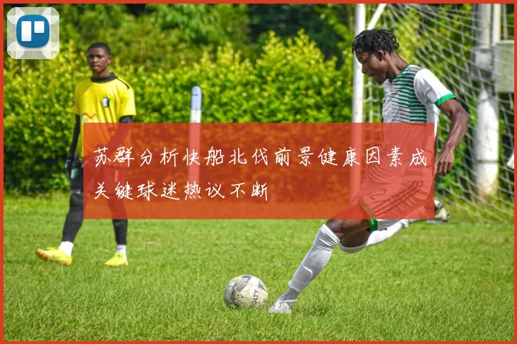 苏群分析快船北伐前景健康因素成关键球迷热议不断
